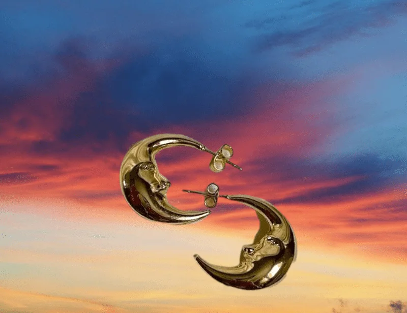 women’s gold drop earrings-Luna Hoop Earrings